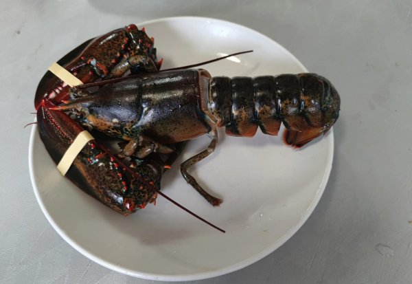 龙抬头的习俗有哪些