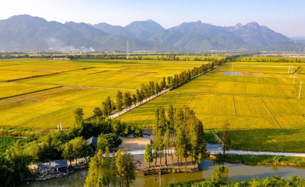 广东江门是不是很穷