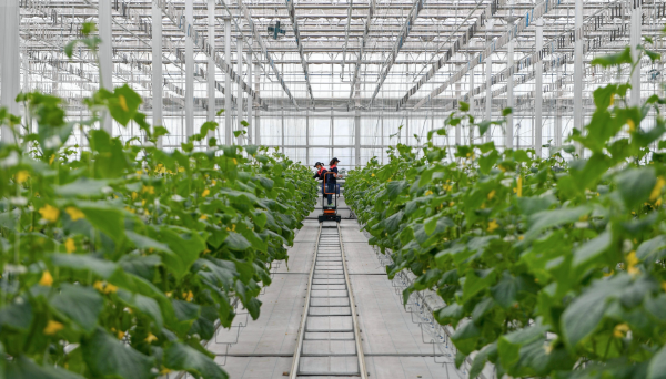 最容易考上的考研专业