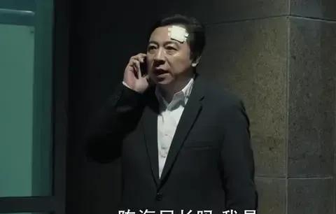 人民的名义陈海是谁害的