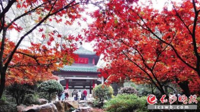 湖南长沙岳麓山的亭子叫什么 爱晚亭始建于哪个朝代