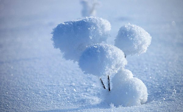 雪绒花是哪部电影的插曲