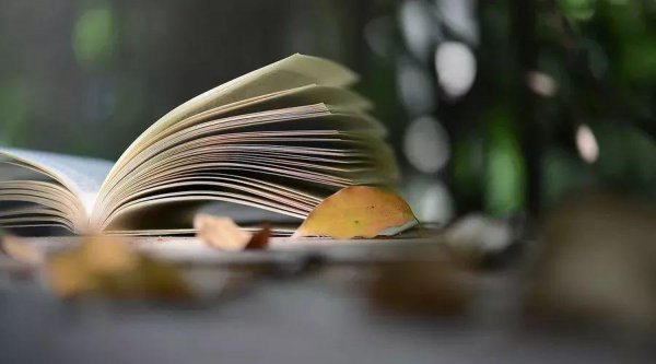 鲁滨逊漂流记人物评价