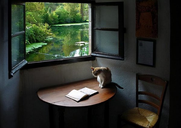 鲁滨逊漂流记人物评价