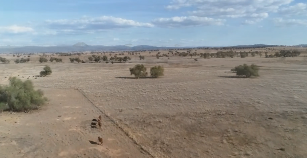 澳大利亚面积排第几