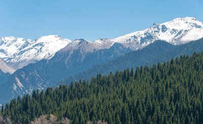 新疆地区有哪些城市 关于新疆下辖的城市你了解多少