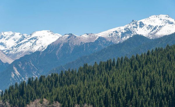 新疆地区有哪些城市