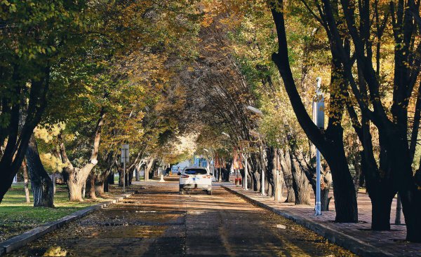 新疆地区有哪些城市