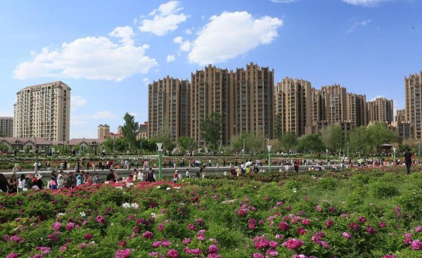 新疆地区有哪些城市