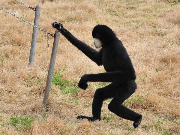 神农架在哪个省哪个市哪个县