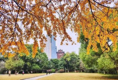 2023年南开大学学科评估 南开大学有哪些优势专业