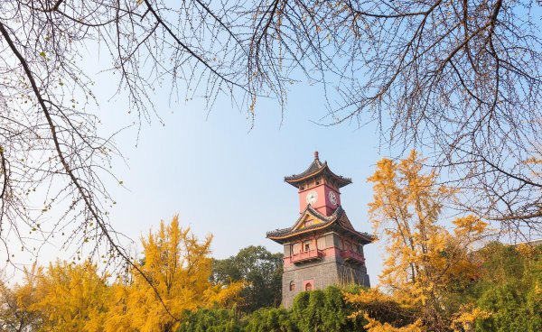 成都和重庆哪个城市更好玩