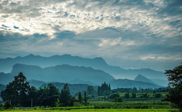 成都和重庆哪个城市更好玩