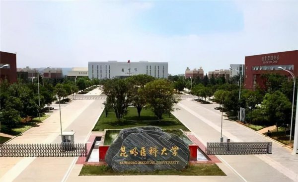 云南十大重点大学排名