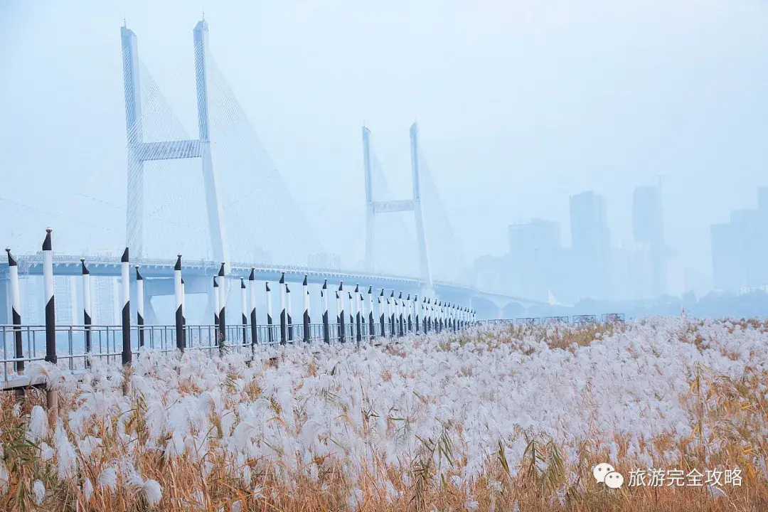 武汉十大网红打卡地