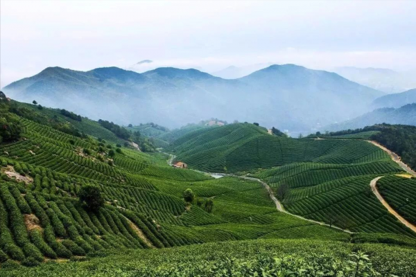 余杭一日游哪里好玩的地方