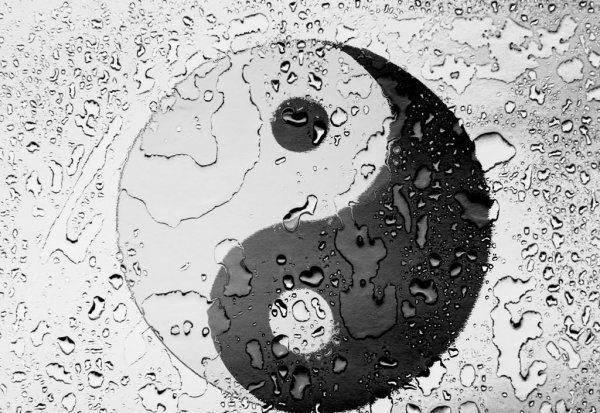 道的最高境界是什么