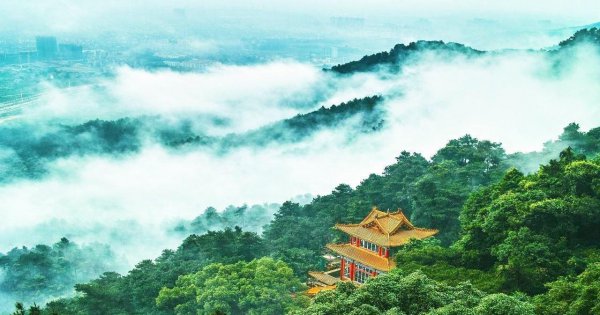 贵港市属于哪个省