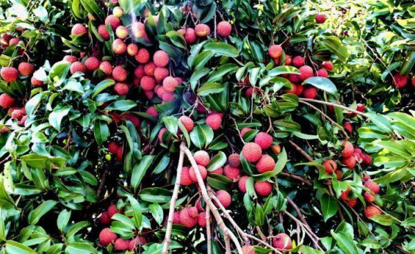 贵港市属于哪个省