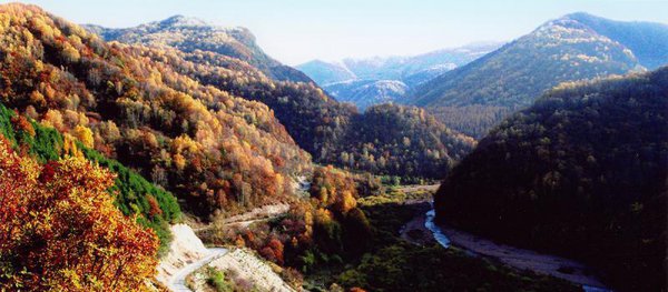 我国宁夏在哪里