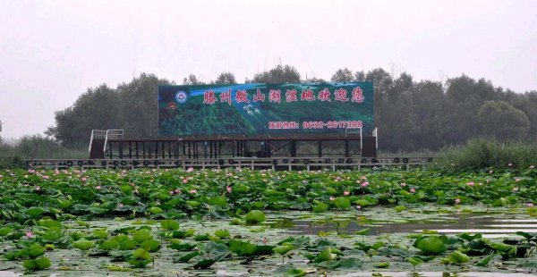 滕州属于哪个市级行政区