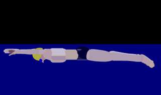 游泳姿势有几种