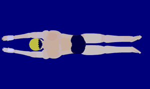 游泳姿势有几种