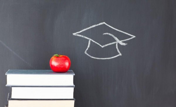 鲁东大学什么档次