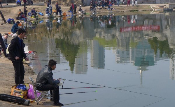 野钓37调和28调哪个好