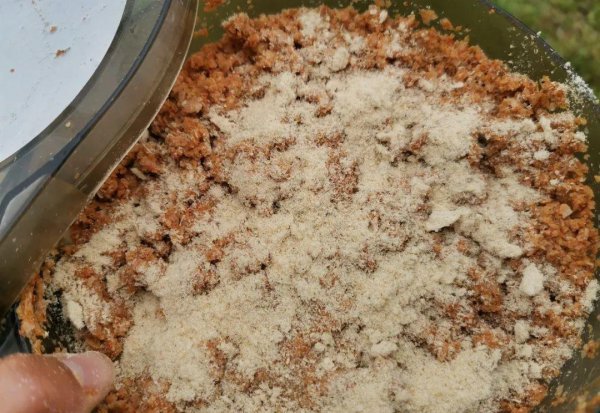 钓白条用什么饵料最好