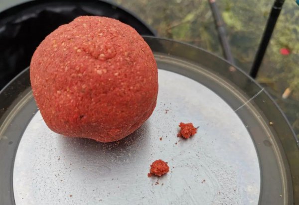 钓白条用什么饵料最好