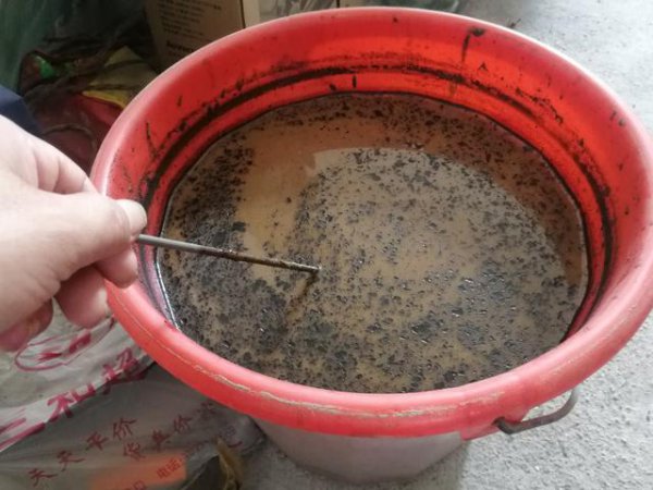 鲶鱼怎么钓用什么饵料