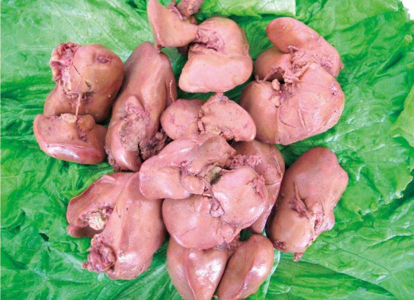 鲶鱼怎么钓用什么饵料