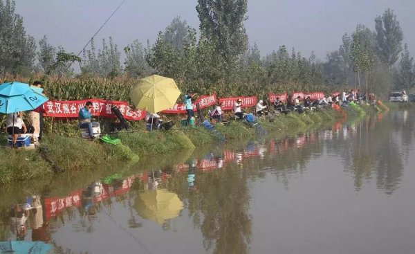钓3至5斤的鲤鱼用多大钩好