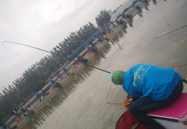 钓3至5斤的鲤鱼用多大钩好