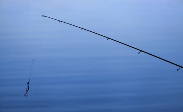 l调m调h调的鱼竿用哪个更好