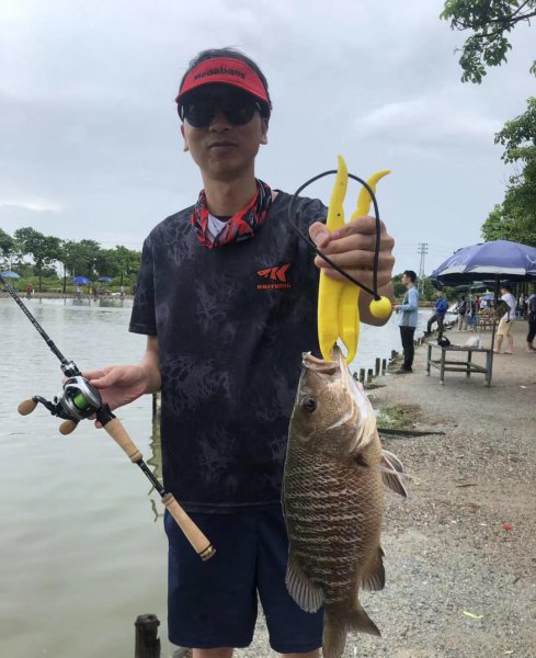 l调m调h调的鱼竿用哪个更好