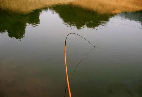 19调和28调哪个容易断