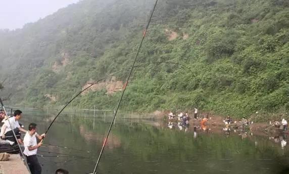 19调和28调哪个容易断