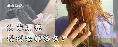 漂完头发是不是就废了 漂染后的头发应该如何保养