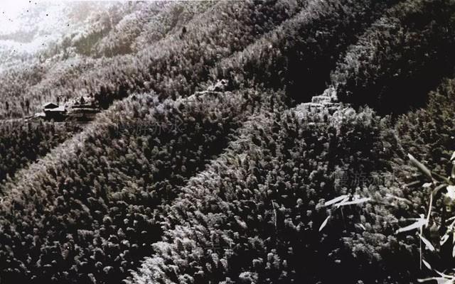 赤水在贵州的什么地方