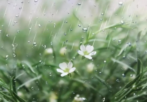 解释富贵不能淫是什么意思