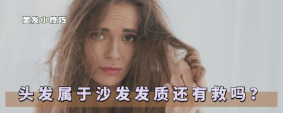 沙发怎么变成正常发质啊 女生沙发发质能够彻底改变吗