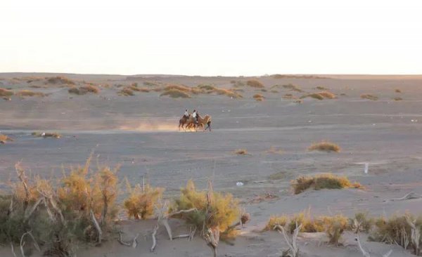 额济纳旗属于哪个市