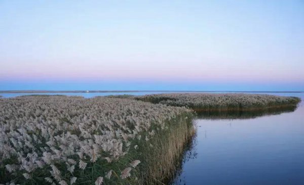 额济纳旗属于哪个市