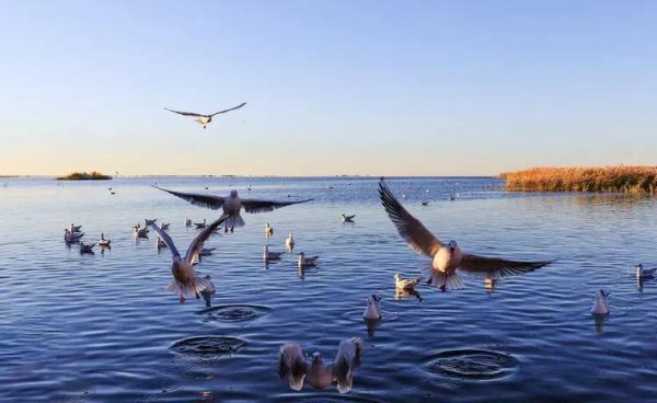 额济纳旗属于哪个市