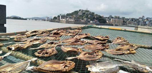 浙江玉环县属于哪个市管辖区域范围