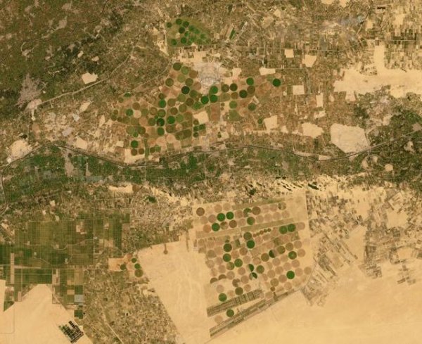 开罗是哪个国家的首都