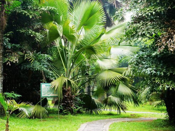 儋州是哪个省的城市