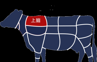 牛排肉是哪个部位的肉 一般哪个部位的肉最适合做牛排